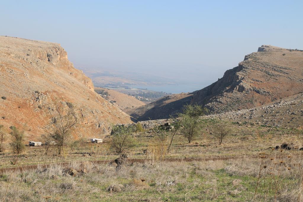 Switzerland In The Arbel Guest House Ruang foto